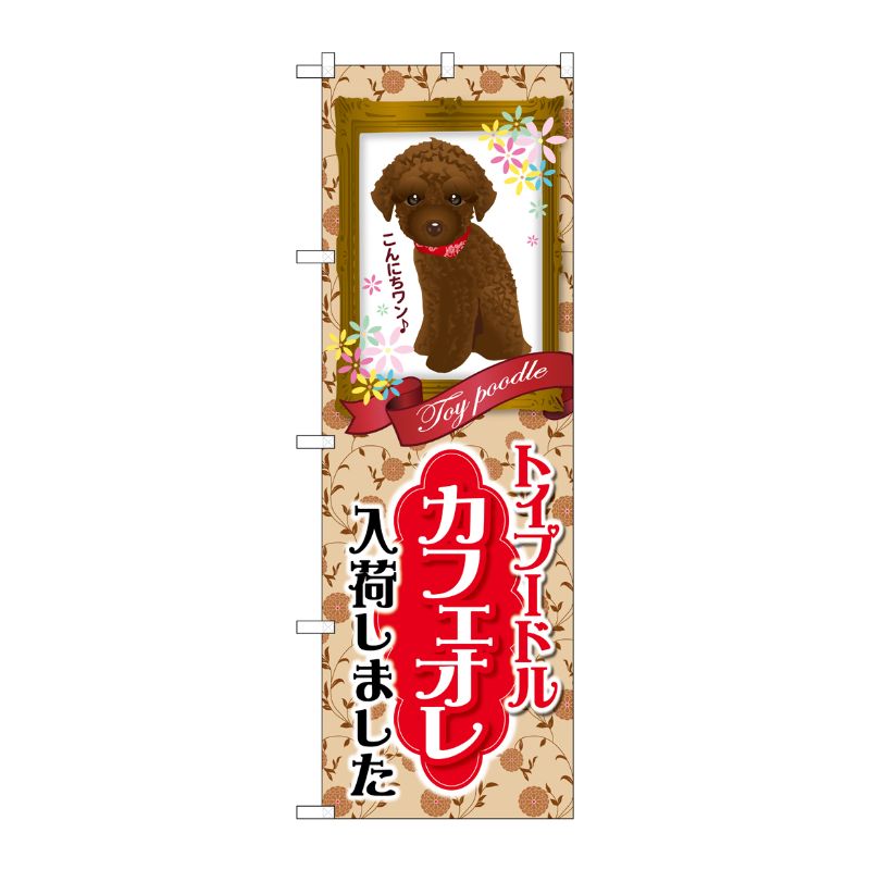 [G] トイプードル カフェオレ 入荷 のぼり GNB-2456 P・O・Pプロダクツ