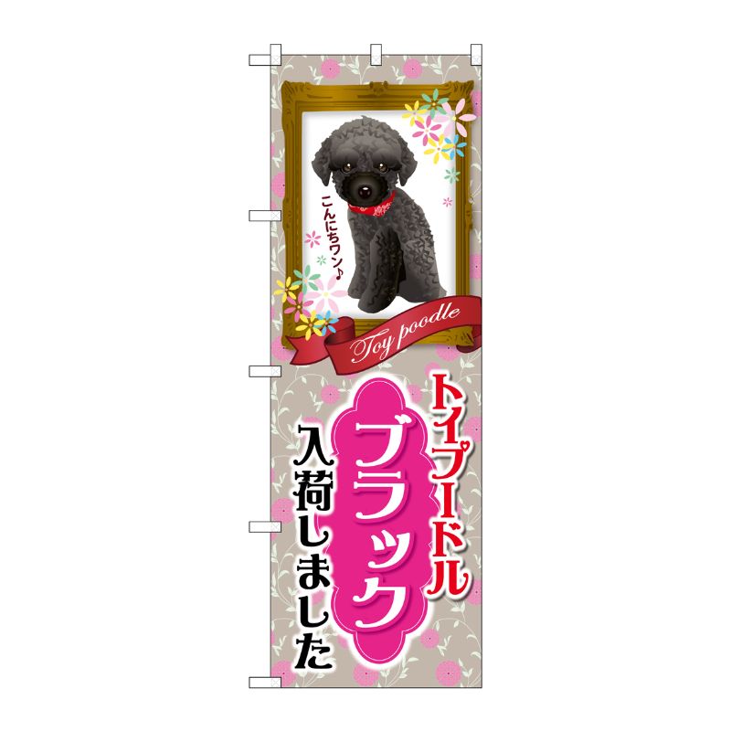 [G] トイプードル ブラック 入荷 のぼり GNB-2462 P・O・Pプロダクツ