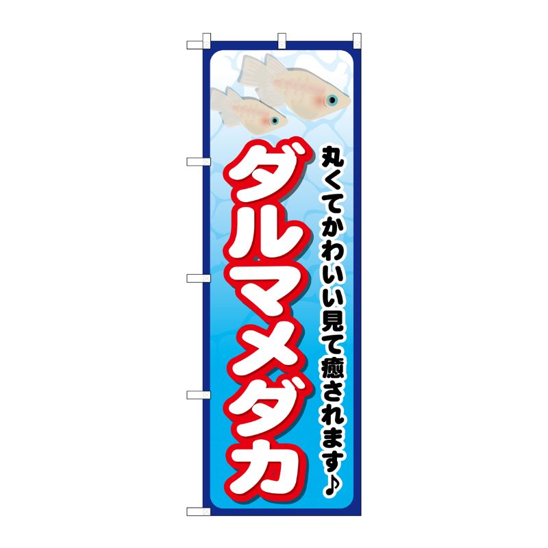 [G] ダルマメダカ のぼり GNB-2449 P・O・Pプロダクツ