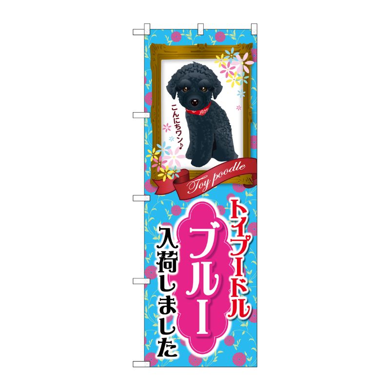 [G] トイプードル ブルー 入荷 のぼり GNB-2463 P・O・Pプロダクツ