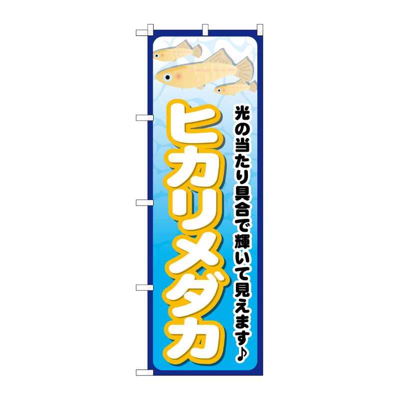 [G] ヒカリメダカ のぼり GNB-2475 P・O・Pプロダクツ
