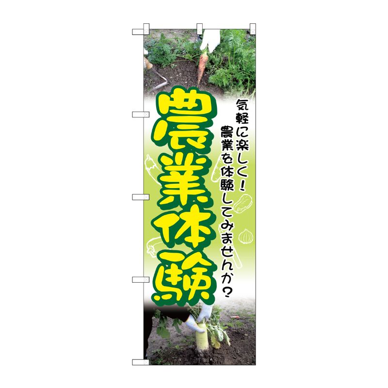 [G] 農業体験 のぼり GNB-2533 P・O・Pプロダクツ