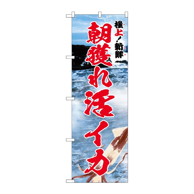 [G] のぼり 朝獲れ活イカ 極上 SNB-5322 P・O・Pプロダクツ