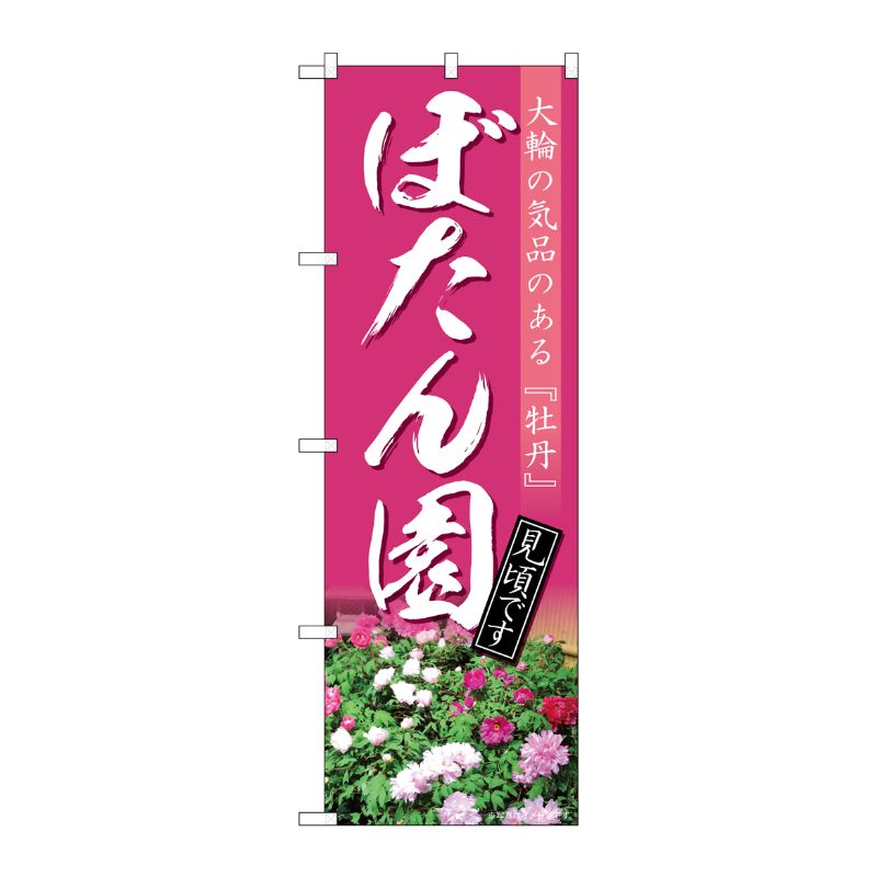 [N] のぼり ぼたん園 見頃 NAD No.82712 P・O・Pプロダクツ