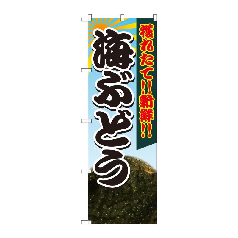 [N] のぼり 海ぶどう獲れたて SYH 82428 P・O・Pプロダクツ