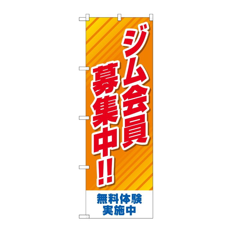 [G] のぼり ジム会員募集中 オレンジ No.GNB-4694 P・O・Pプロダクツ