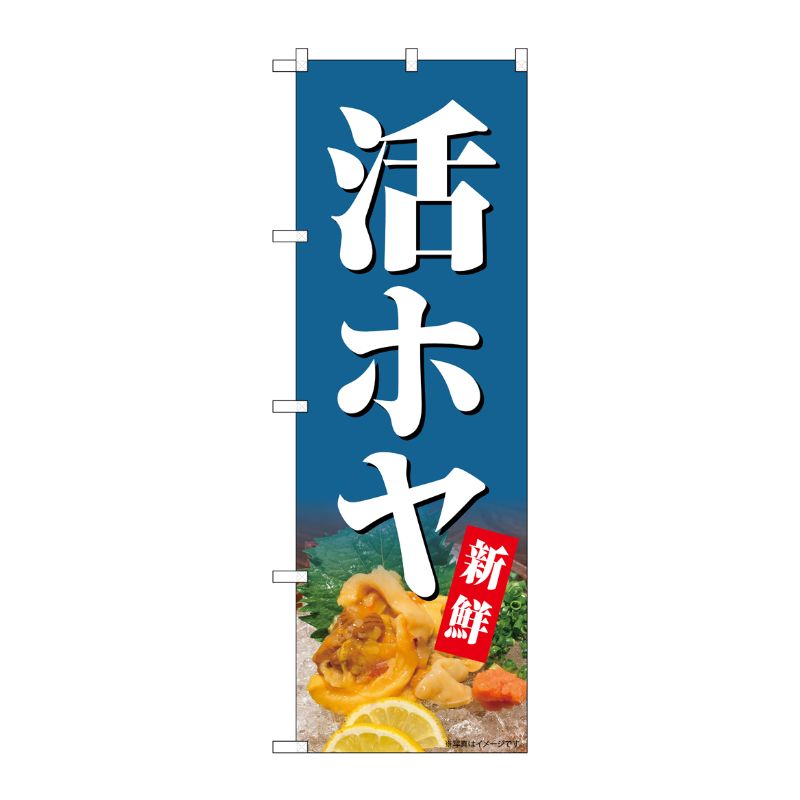 [G] のぼり 活ホヤ 新鮮 SNB-7162 受注生産★2 P・O・Pプロダクツ
