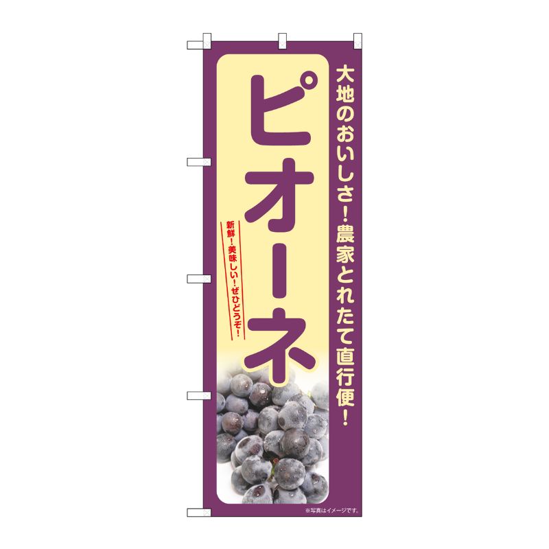 [G] のぼり ピオーネ SNB-7179 P・O・Pプロダクツ