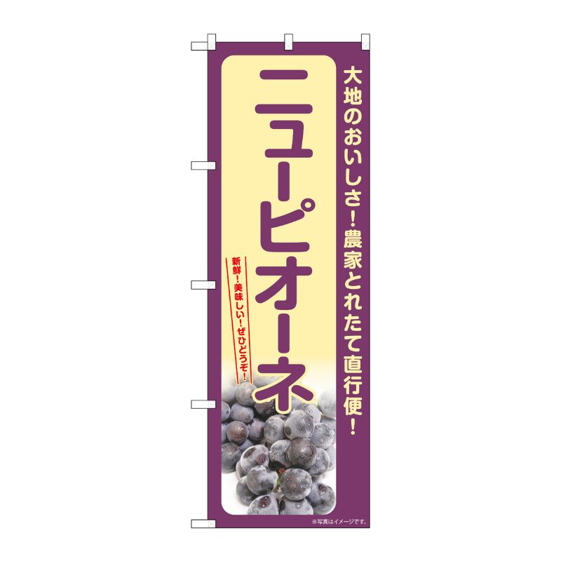 [G] のぼり ニューピオーネ SNB-7180 P・O・Pプロダクツ