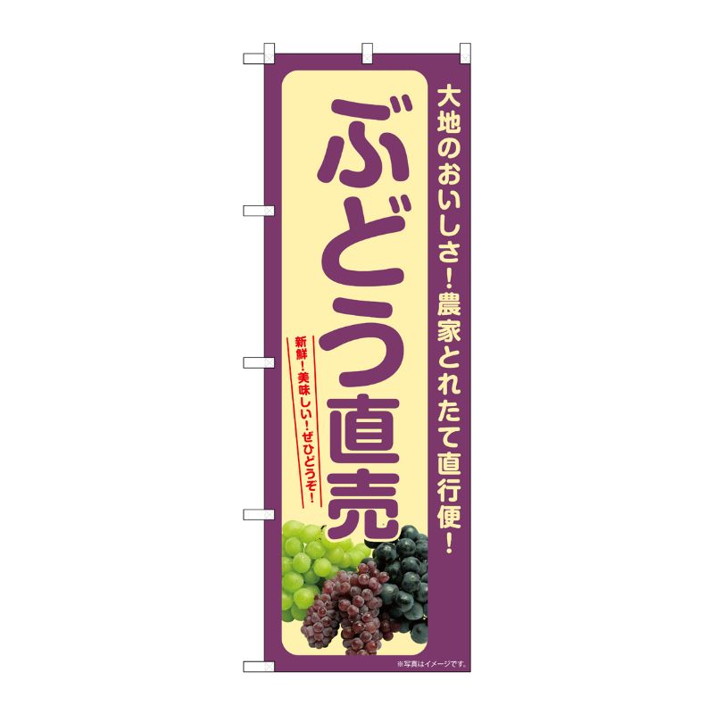 [G] のぼり ぶどう直売 SNB-7182 P・O・Pプロダクツ