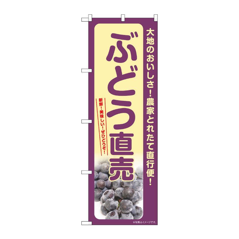 [G] のぼり ぶどう直売 SNB-7183 P・O・Pプロダクツ