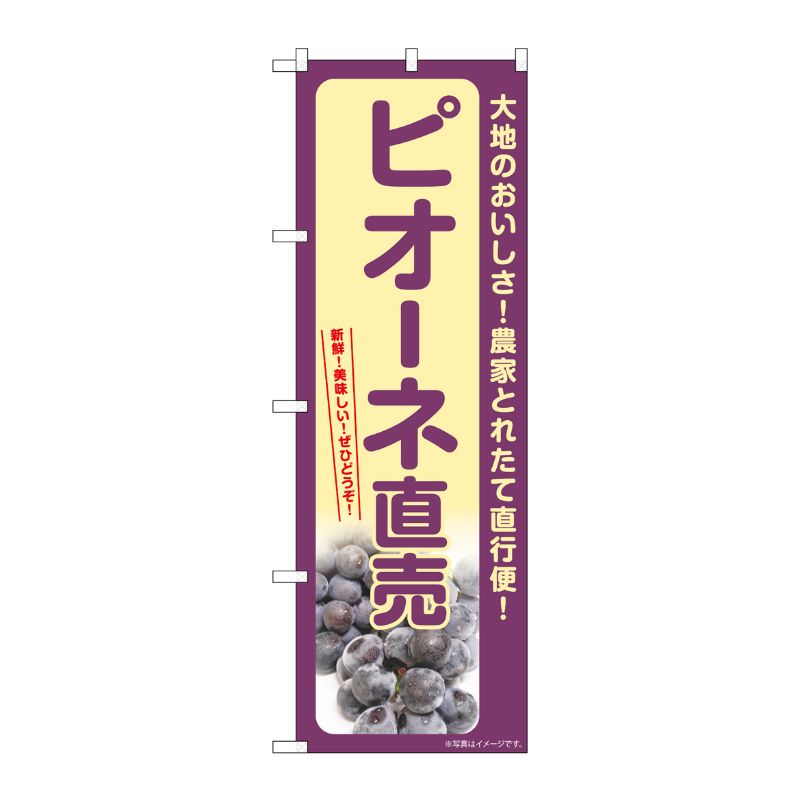 [G] のぼり ピオーネ直売 SNB-7185 P・O・Pプロダクツ