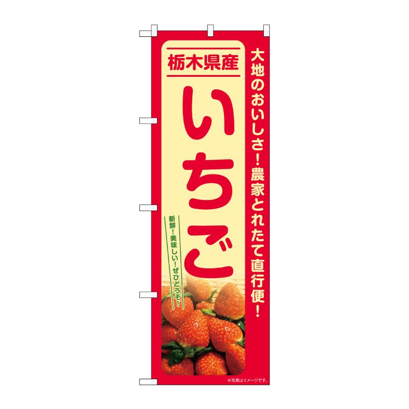 [G] のぼり いちご 栃木県産 SNB-7210 P・O・Pプロダクツ