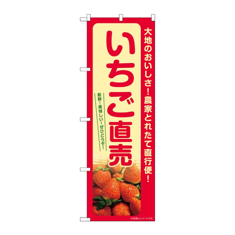 [G] のぼり いちご直売 SNB-7212 P・O・Pプロダクツ