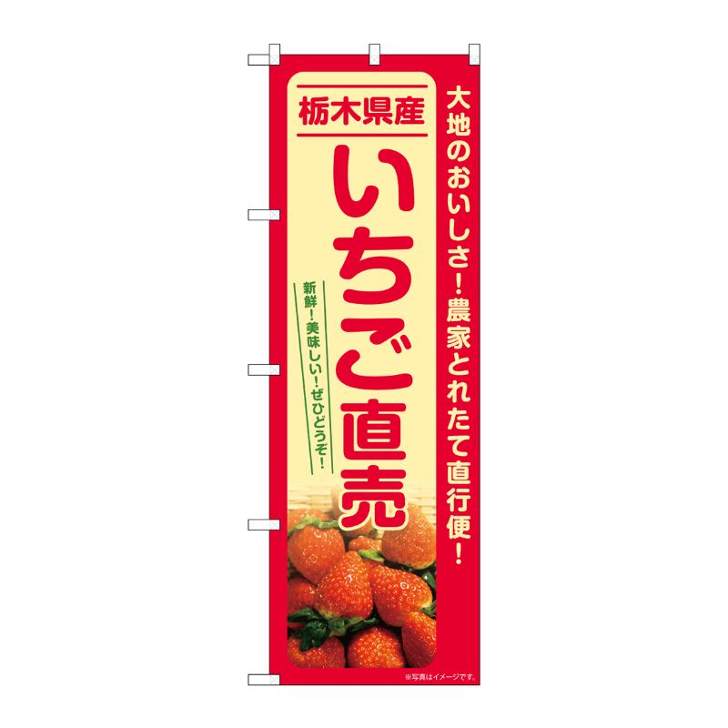 [G] のぼり いちご直売 栃木県産 SNB-7213 P・O・Pプロダクツ