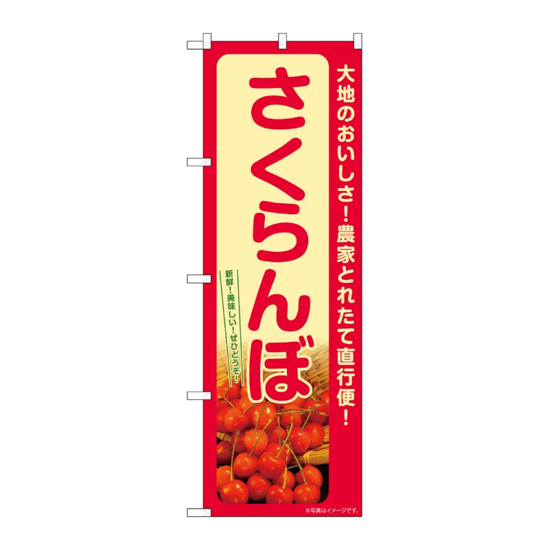 [G] のぼり さくらんぼ SNB-7215 P・O・Pプロダクツ