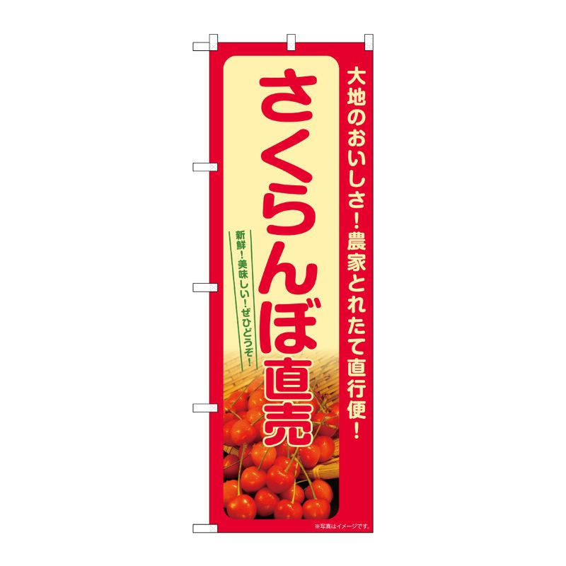 [G] のぼり さくらんぼ直売 SNB-7216 P・O・Pプロダクツ