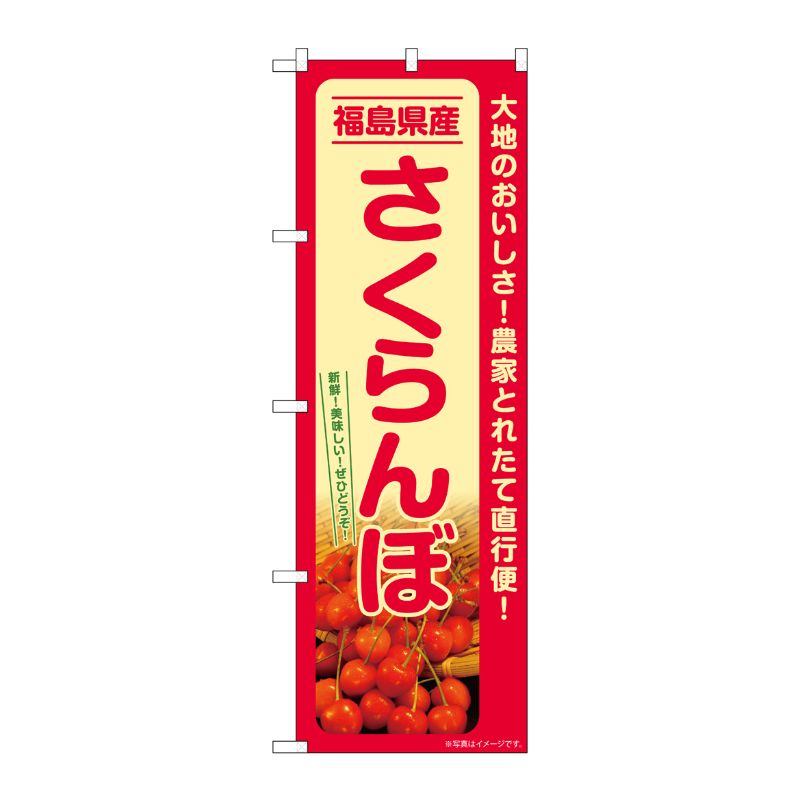 [G] のぼり さくらんぼ 福島県産 SNB-7218 P・O・Pプロダクツ