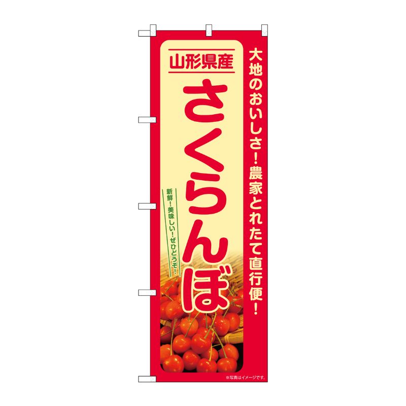 [G] のぼり さくらんぼ 山形県産 SNB-7219 P・O・Pプロダクツ