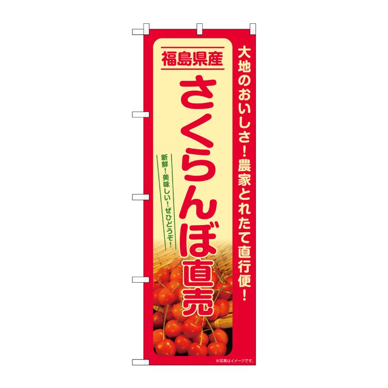 [G] のぼり さくらんぼ直売 福島県産 SNB-7220 P・O・Pプロダクツ