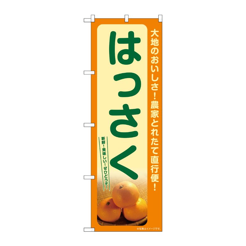 [G] のぼり はっさく SNB-7244 P・O・Pプロダクツ