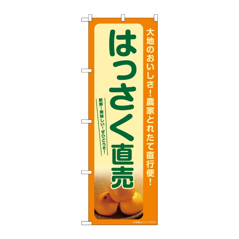 [G] のぼり はっさく直売 SNB-7245 P・O・Pプロダクツ