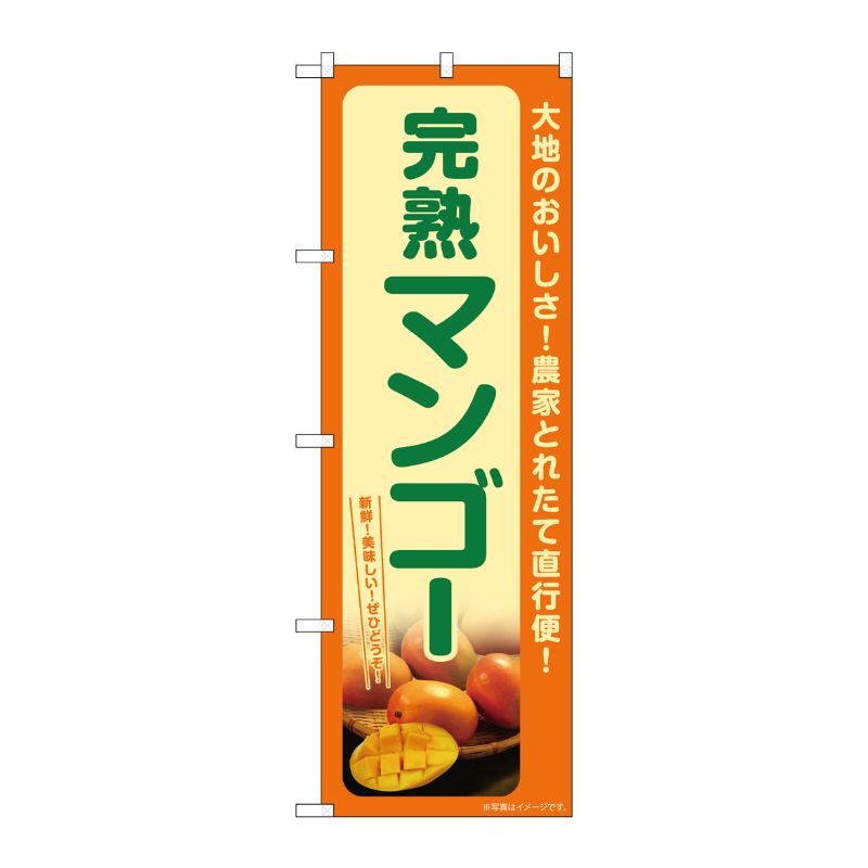 [G] のぼり 完熟マンゴー SNB-7251 P・O・Pプロダクツ
