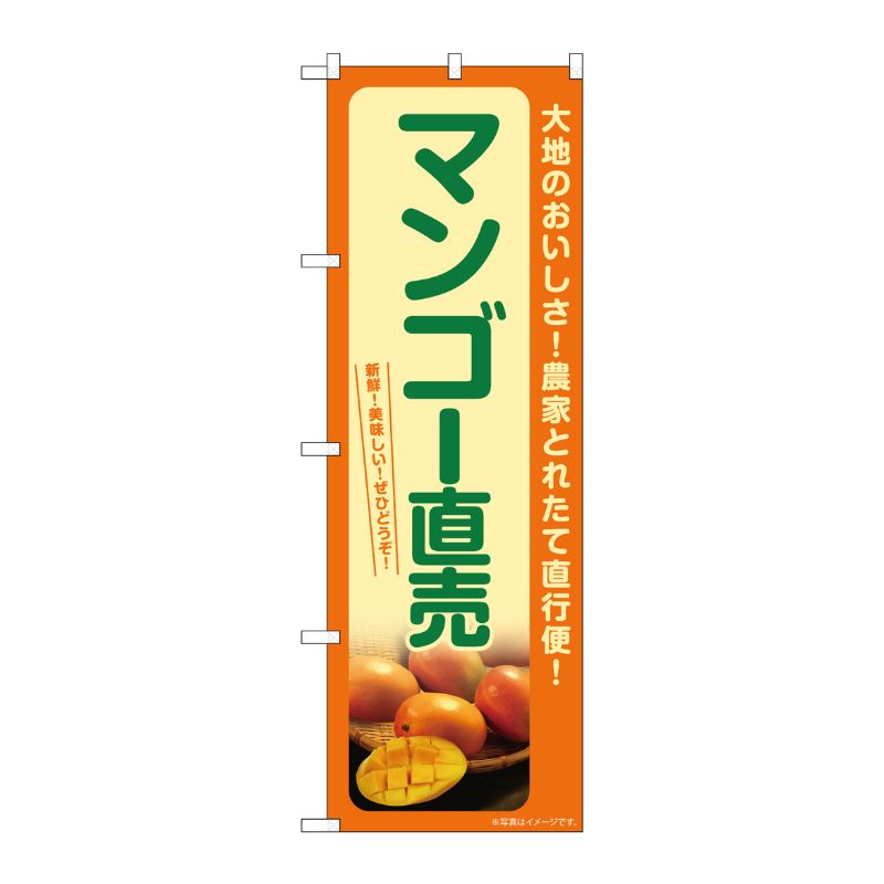 [G] のぼり マンゴー直売 SNB-7252 P・O・Pプロダクツ