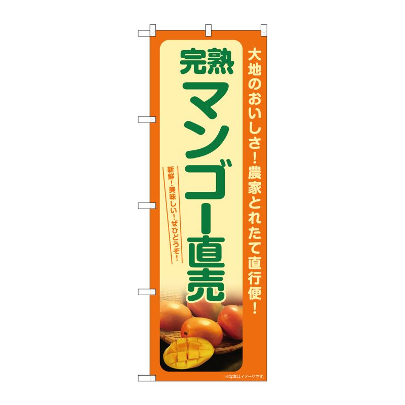 [G] のぼり 完熟マンゴー直売 SNB-7253 P・O・Pプロダクツ