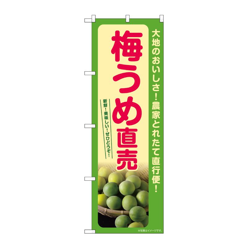 [G] のぼり 梅 うめ直売 SNB-7255 P・O・Pプロダクツ