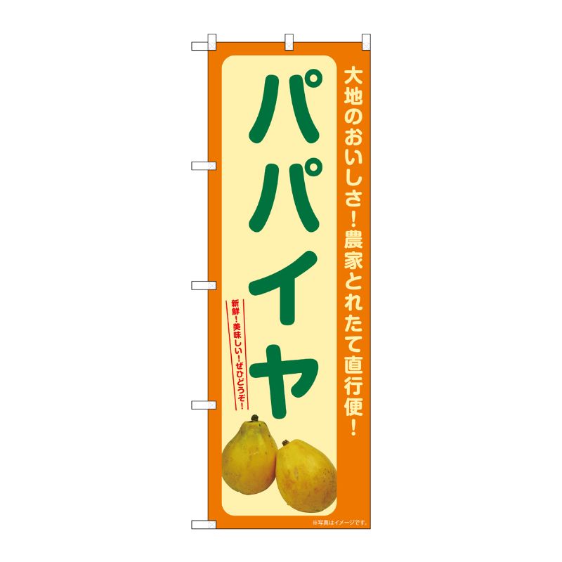 [G] のぼり パパイヤ SNB-7258 P・O・Pプロダクツ