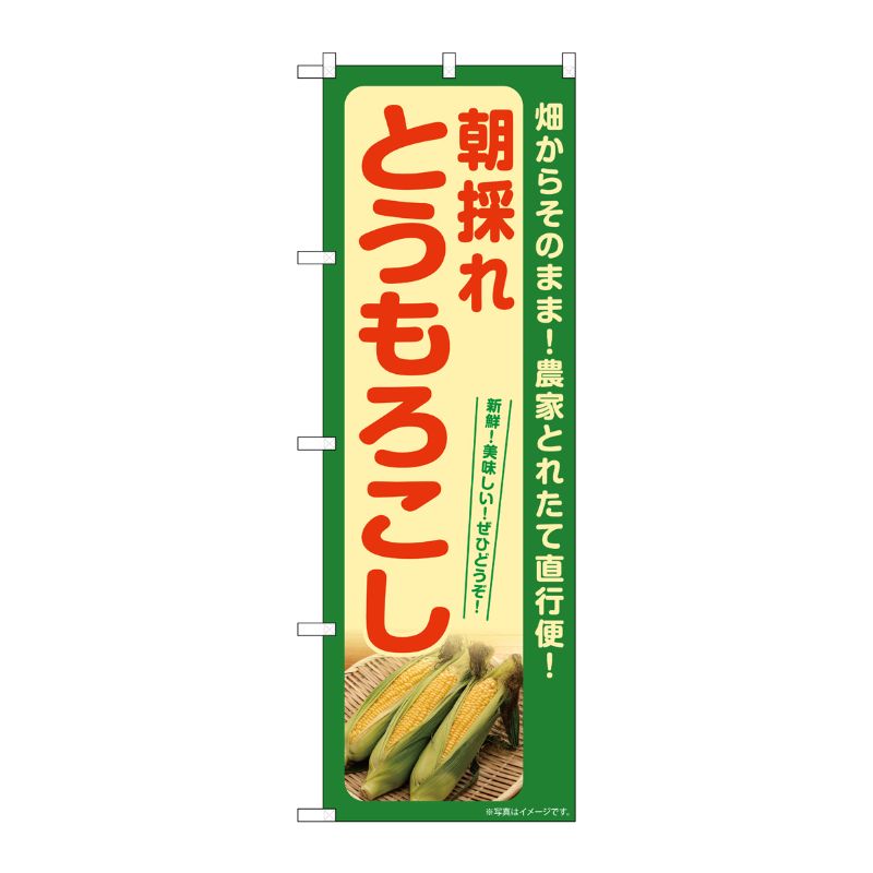[G] のぼり とうもろこし 朝採れ(緑) SNB-7269 P・O・Pプロダクツ