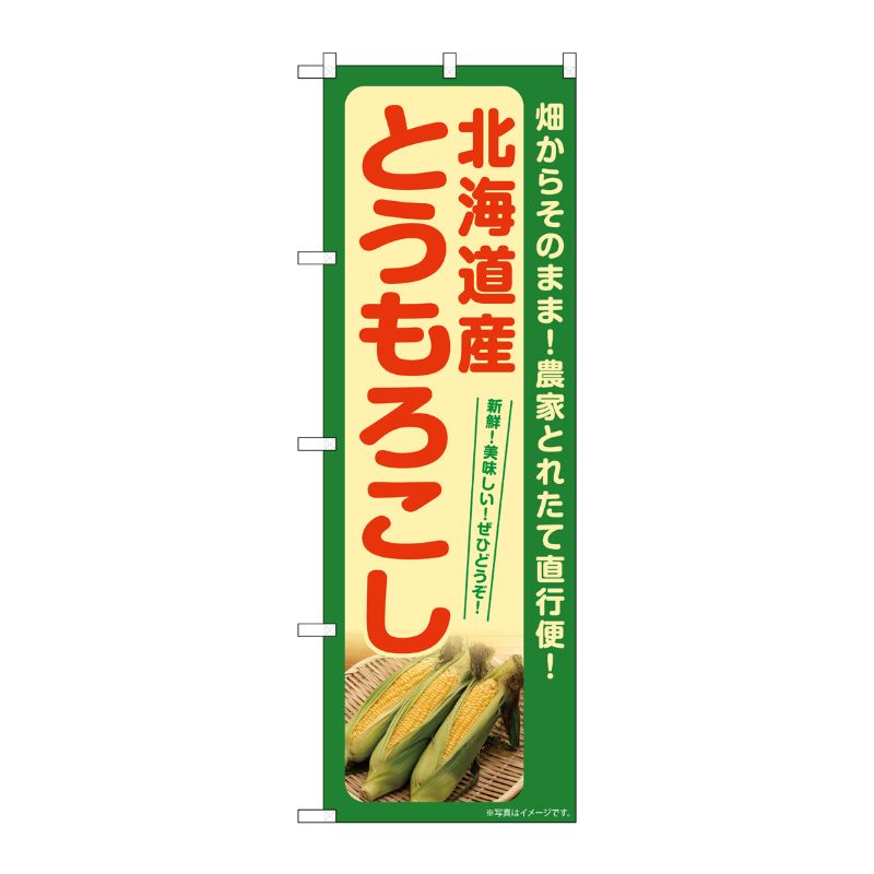 [G] のぼり とうもろこし 北海道産(緑) SNB-7273 P・O・Pプロダクツ
