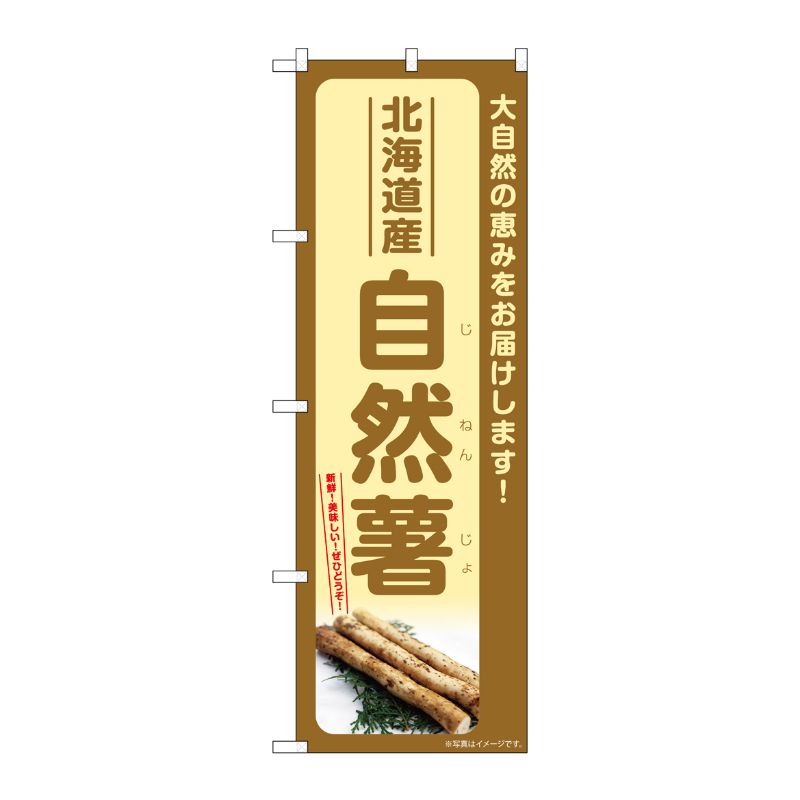 [G] のぼり 自然薯 北海道産 SNB-7284 P・O・Pプロダクツ