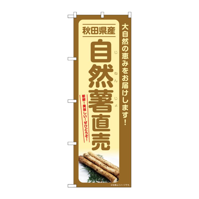 [G] のぼり 自然薯直売 秋田県産 SNB-7298 P・O・Pプロダクツ