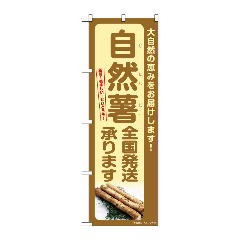 [G] のぼり 自然薯 全国発送承ります SNB-7299 P・O・Pプロダクツ
