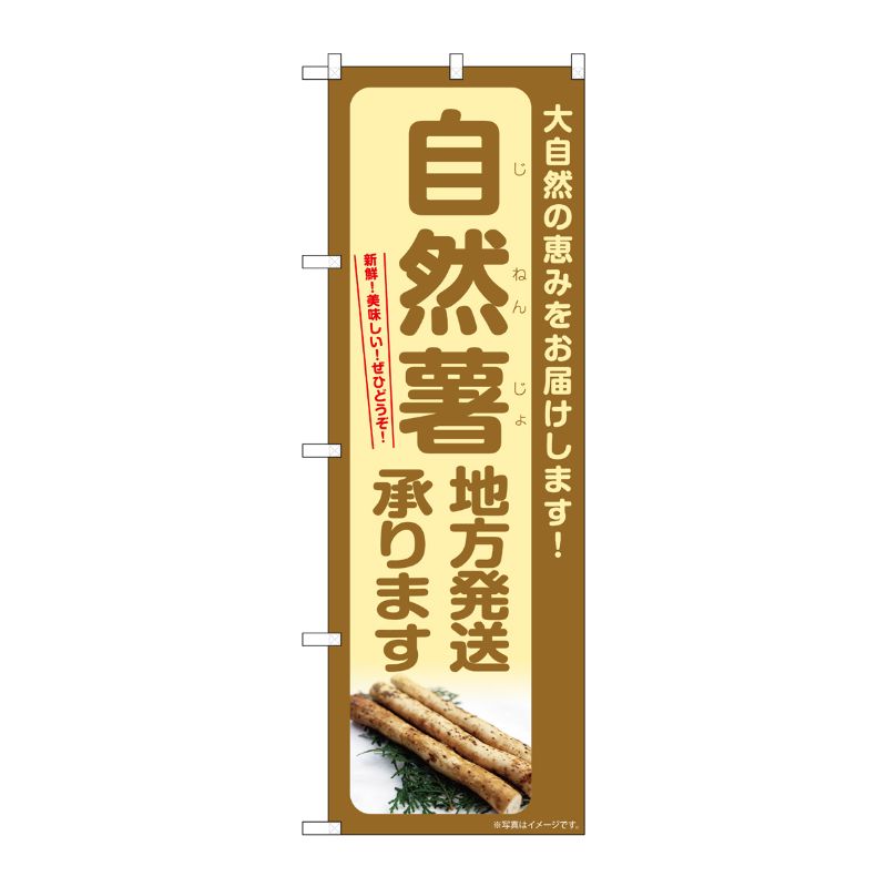 [G] のぼり 自然薯 地方発送承ります SNB-7300 P・O・Pプロダクツ
