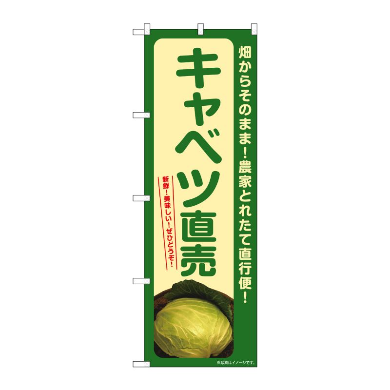 [G] のぼり キャベツ直売 SNB-7304 P・O・Pプロダクツ