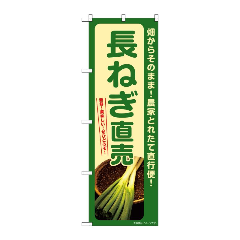 [G] のぼり 長ねぎ直売 SNB-7308 P・O・Pプロダクツ