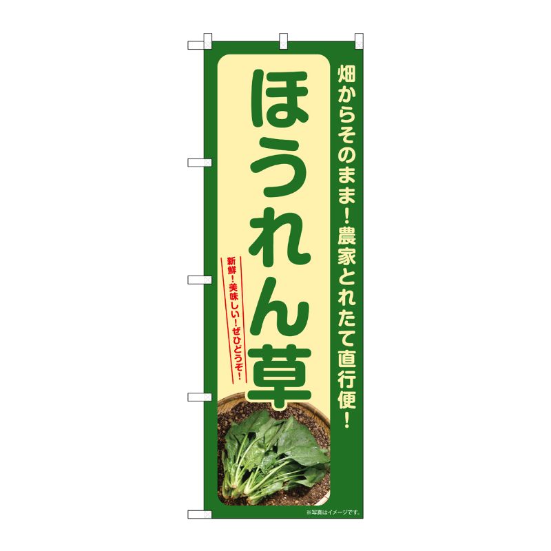 [G] のぼり ほうれん草 SNB-7309 P・O・Pプロダクツ