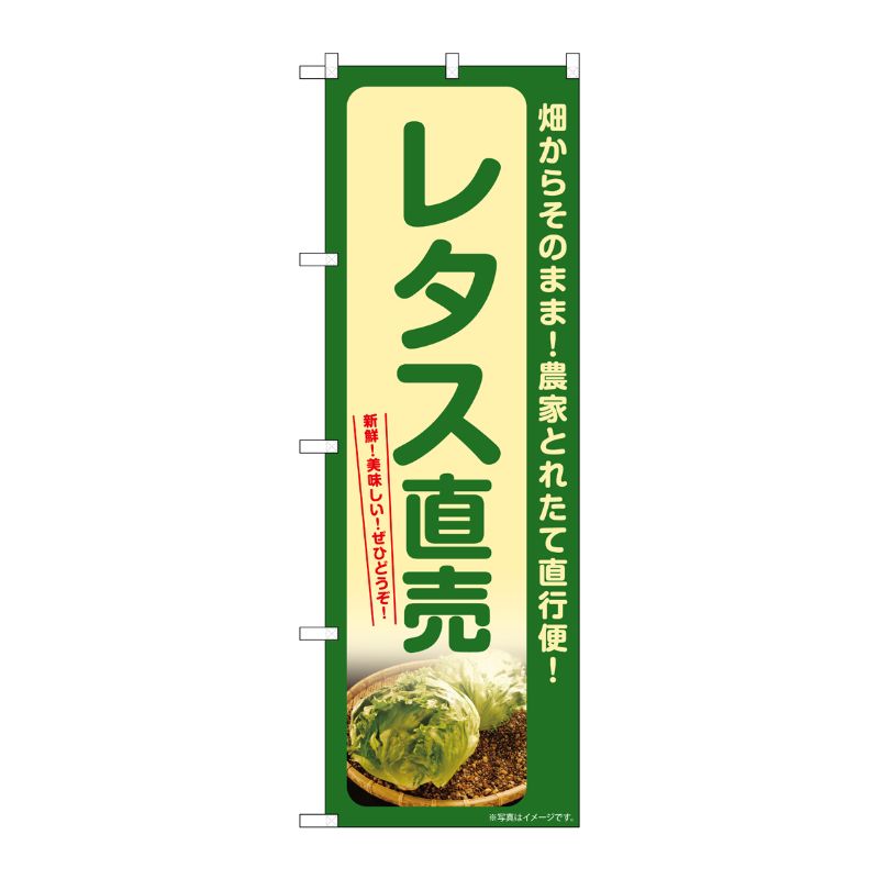 [G] のぼり レタス直売 SNB-7312 P・O・Pプロダクツ