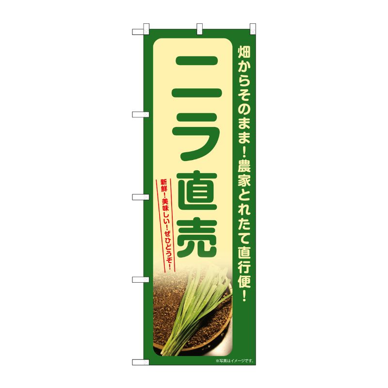 [G] のぼり ニラ直売 SNB-7316 P・O・Pプロダクツ