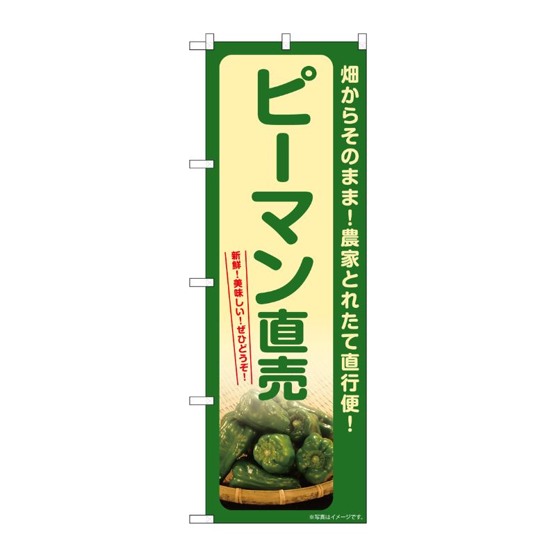 [G] のぼり ピーマン直売 SNB-7318 P・O・Pプロダクツ