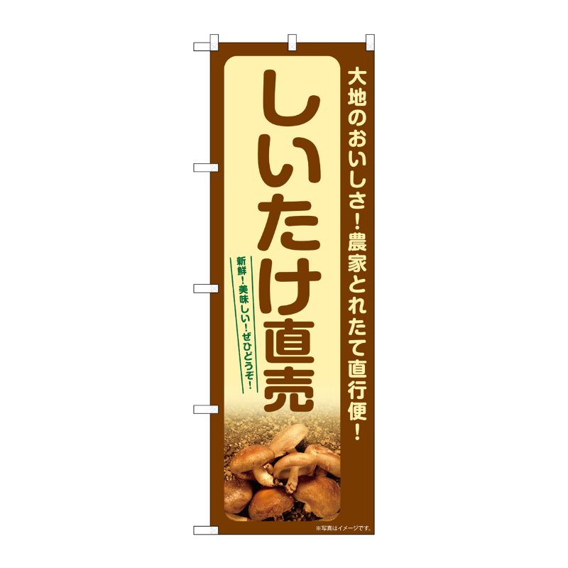 [G] のぼり しいたけ直売 SNB-7336 P・O・Pプロダクツ