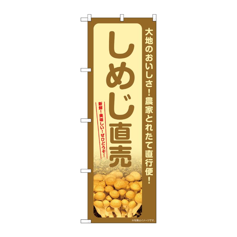 [G] のぼり しめじ直売 SNB-7338 P・O・Pプロダクツ