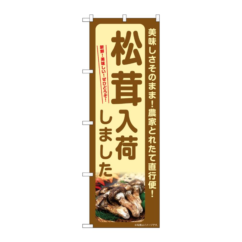 [G] のぼり 松茸入荷しました SNB-7343 P・O・Pプロダクツ