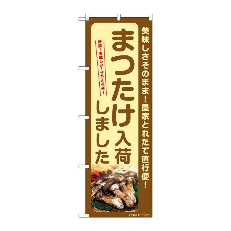 [G] のぼり まつたけ入荷しました SNB-7344 P・O・Pプロダクツ