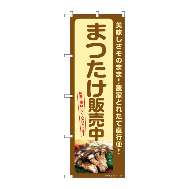 [G] のぼり まつたけ販売中 SNB-7360 P・O・Pプロダクツ