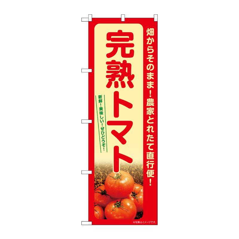 [G] のぼり 完熟トマト SNB-7396 P・O・Pプロダクツ