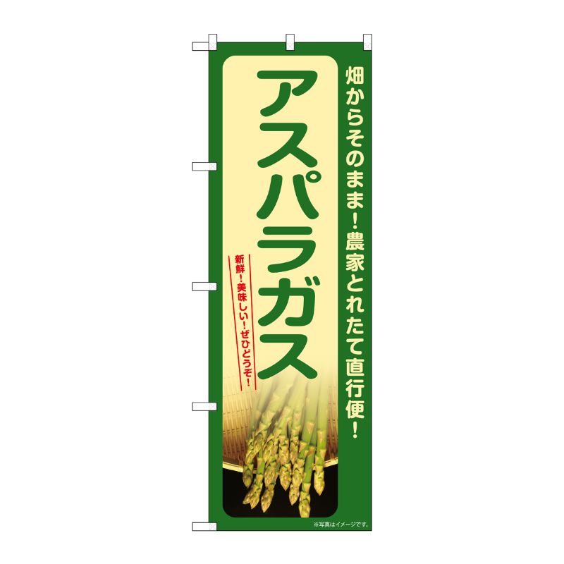 [G] のぼり アスパラガス SNB-7399 P・O・Pプロダクツ